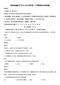 [化学]陕西省榆林市2022-2023学年高一下学期期末考试试题（解析版）