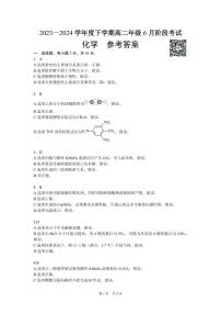 辽宁省沈阳市2023-2024学年度下学期高二年级6月阶段考试化学
