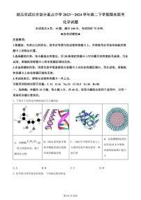 湖北武汉部分重点中学2024年高二下学期期末联考化学试卷+答案