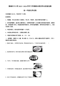 云南省楚雄彝族自治州2023-2024学年高一下学期7月期末教育学业质量监测化学试题(含答案)