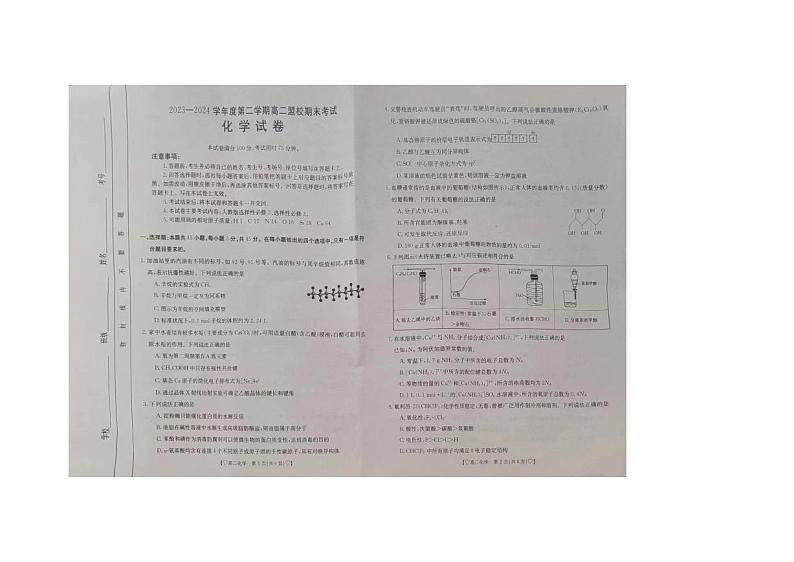 吉林省白山市浑江区2023-2024学年高二下学期7月期末化学试题01