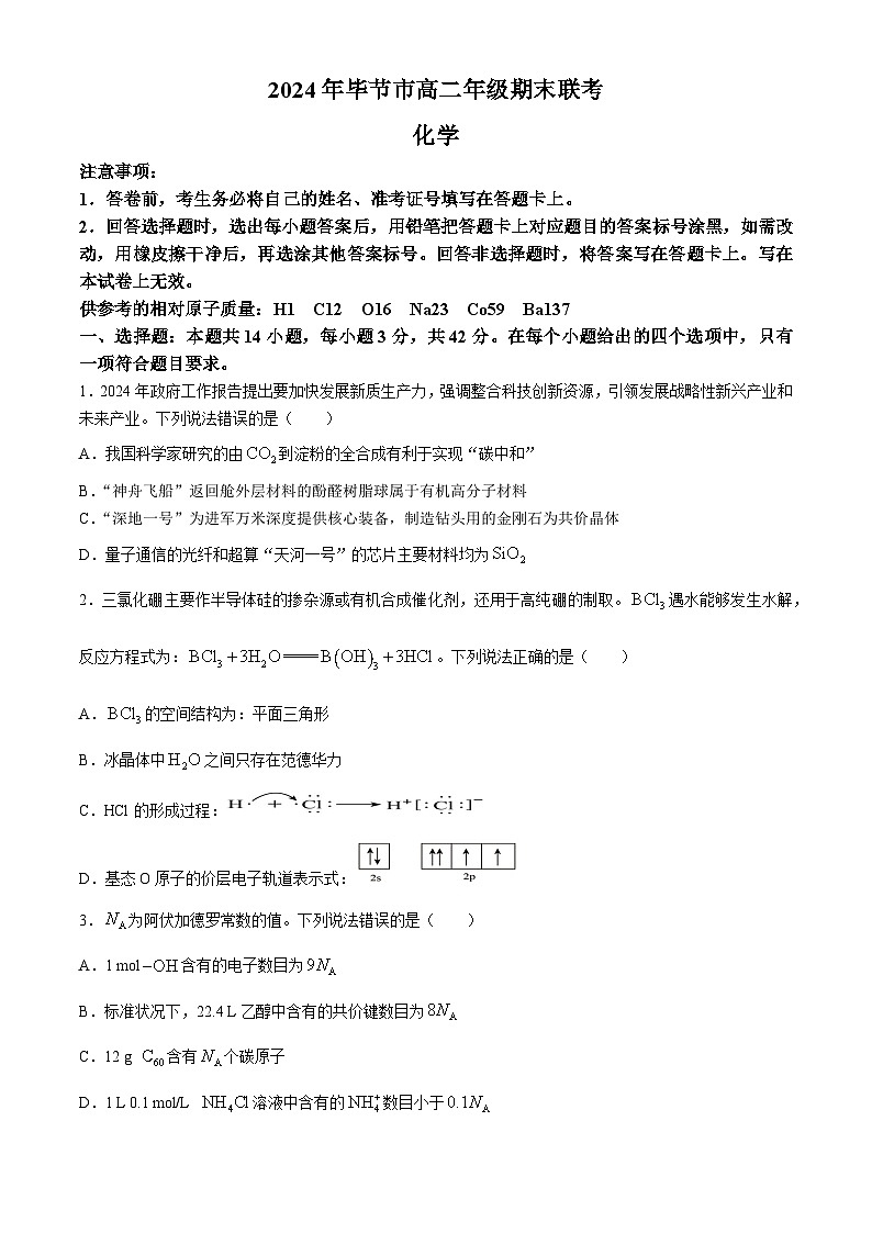 贵州省毕节市2023-2024学年高二下学期期末考试化学试题01