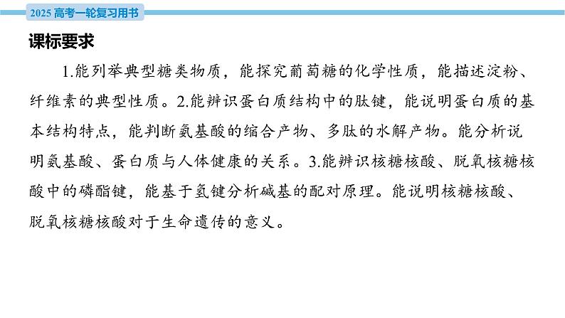 第40讲 生物大分子 课件—2025届高考化学大一轮复习第4页