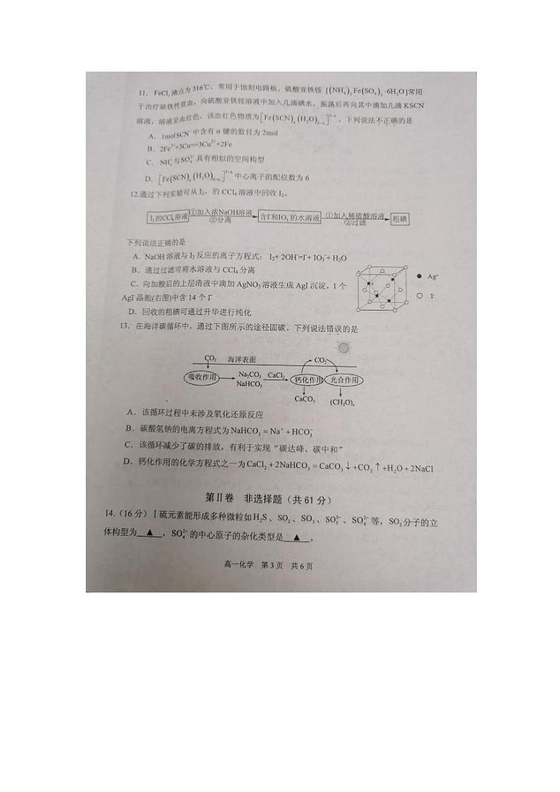 江苏省泰州市2023-2024学年高一下学期6月期末考试 化学试题 PDF版含答案第3页