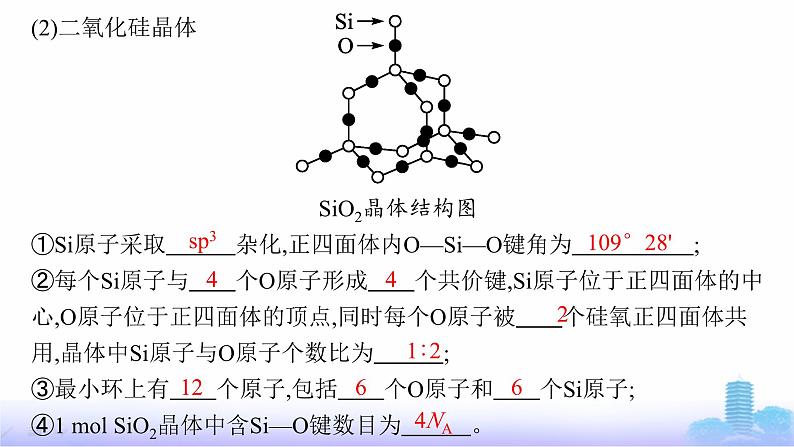 鲁科版高中化学选择性必修2第3章不同聚集状态的物质与性质第2节第2课时共价晶体与分子晶体课件08