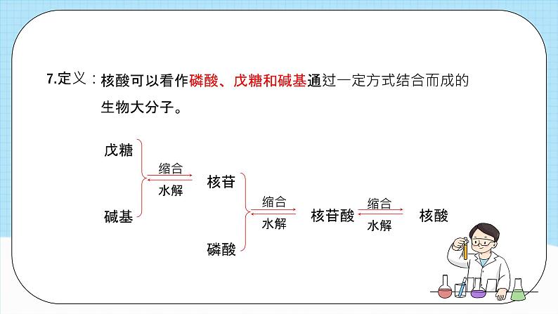 人教版(2019)高中化学选择性必修三4.3《核酸》课件第8页