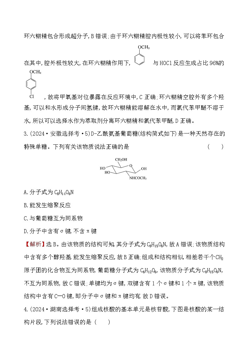 考点21 生物大分子-2024年高考化学试题分类汇编03