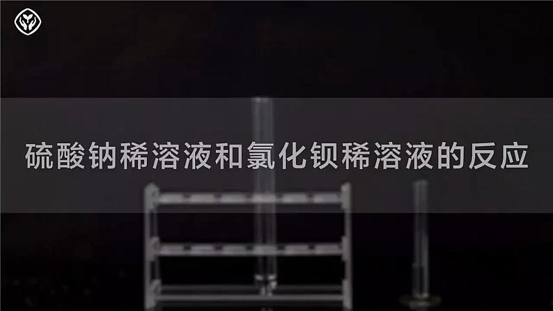 2.2.4 离子反应 离子方程式的书写(同步课件)第6页