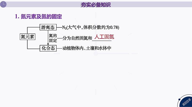 课件 高考化学一轮复习第五单元 化工生产中重要非金属元素 第十九讲 氮及其化合物第4页