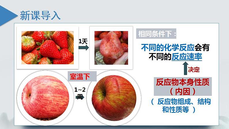 2.1.2 化学反应速率(第2课时 影响化学反应速率的因素)(课件精讲)2024-2025学年高二化学同步课件精讲(人教版2019选择性必修1)03