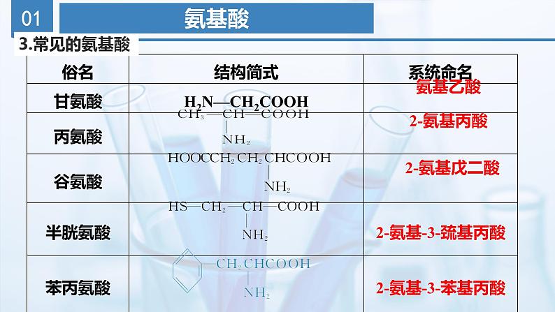 沪科版化学选择性必修三 4.1.3 核酸(教学课件)06