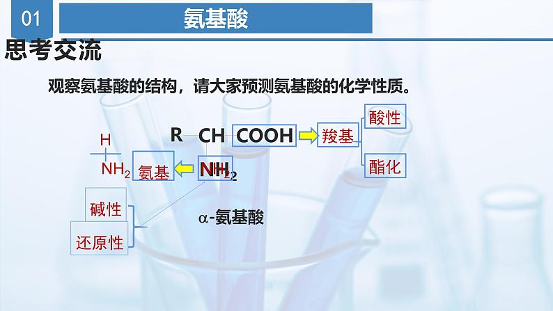 沪科版化学选择性必修三 4.1.3 核酸(教学课件)07
