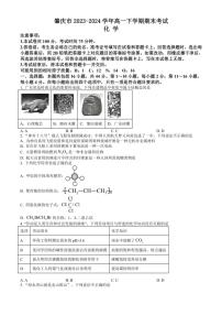[化学][期末]广东省肇庆市2023～2024学年高一下学期期末考试 化学试题 （含答案）