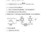 高中化学人教版 (2019)选择性必修3第五节 有机合成课后测评