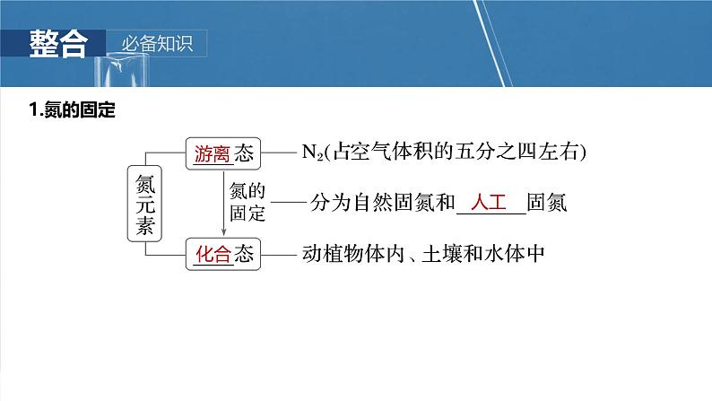 大单元二 第五章 第22讲 氮及其氧化物 硝酸-2025年高考化学大一轮复习(人教版)【配套PPT课件】第5页