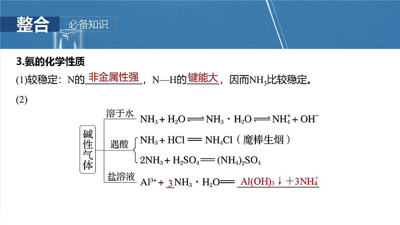 大单元二 第五章 第23讲 氨 铵盐-2025年高考化学大一轮复习(人教版)【配套PPT课件】第7页
