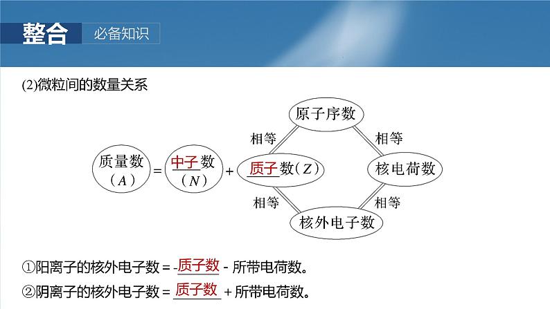 大单元三 第七章 第31讲 原子结构 核外电子排布规律-2025年高考化学大一轮复习(人教版)【配套PPT课件】第6页