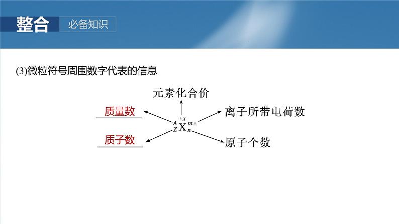 大单元三 第七章 第31讲 原子结构 核外电子排布规律-2025年高考化学大一轮复习(人教版)【配套PPT课件】第7页