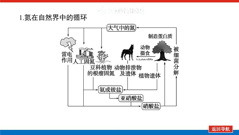 2025届高中化学全程复习构想课件全套23氮及其化合物的转化 环境保护第5页