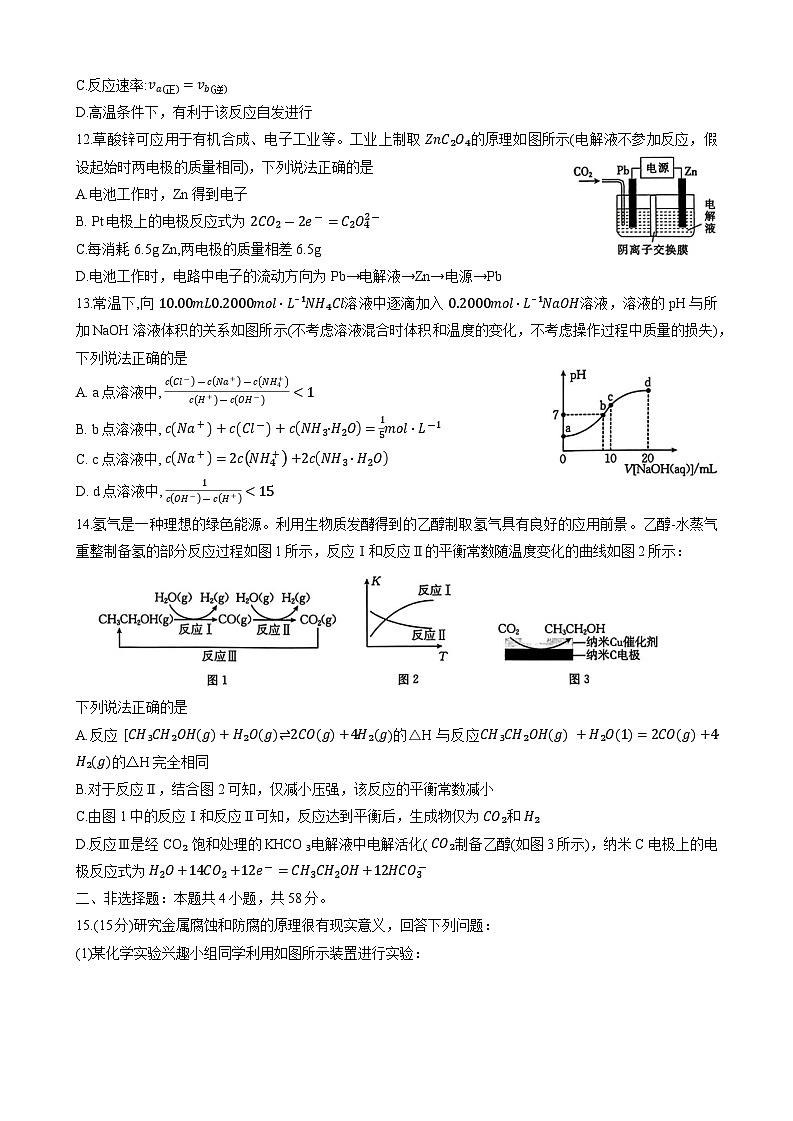 重庆市2023-2024学年高二上学期12月联考化学试题03