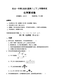 四川省乐山一中2023-2024学年高二下学期期中考试化学试题
