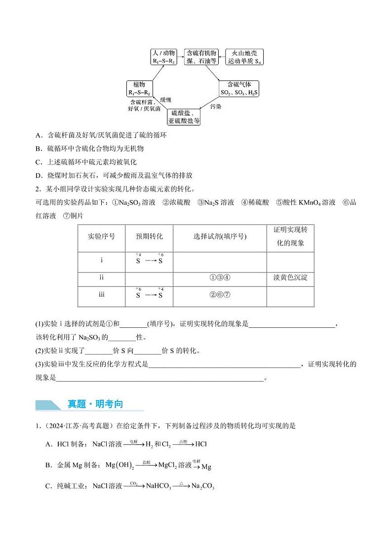 第21讲 硫及其化合物的相互转化-2025年高考化学大一轮复习卓越讲义(学生版)第3页