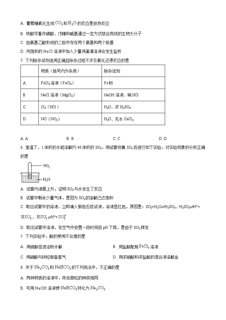 北京市北京師范大學(xué)第二附屬中學(xué)2024-2025學(xué)年高三上學(xué)期開學(xué)檢測化學(xué)試題（原卷版）第2頁