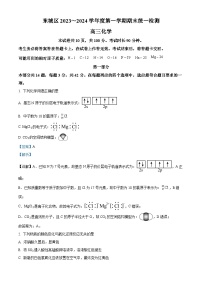 北京市东城区2023-2024学年高三上学期期末化学试卷（解析版）