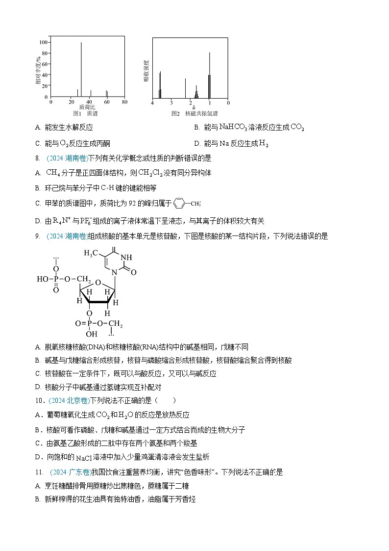 三年(2022-2024)高考化學(xué)真題分類匯編(全國通用)專題11 有機化合物(原卷版)第3頁