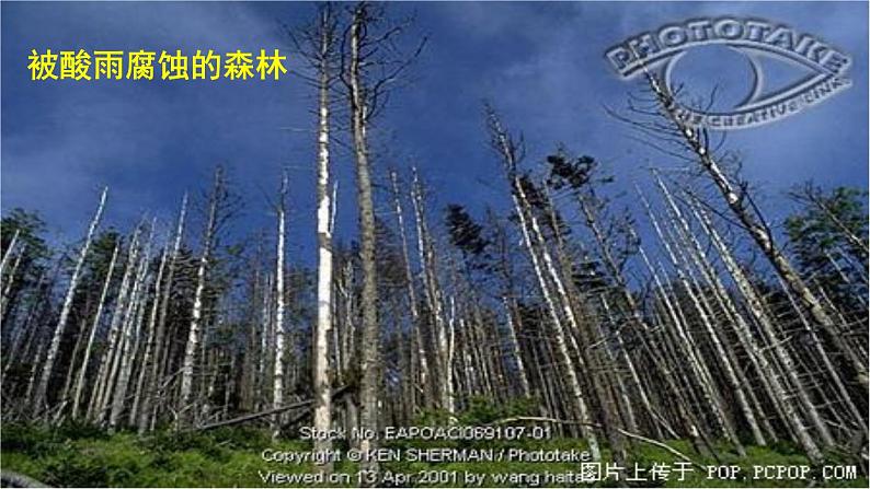 人教版 (新课标)必修1 4.3 硫和氮的氧化物(第1课时 硫的氧化物) 课件04