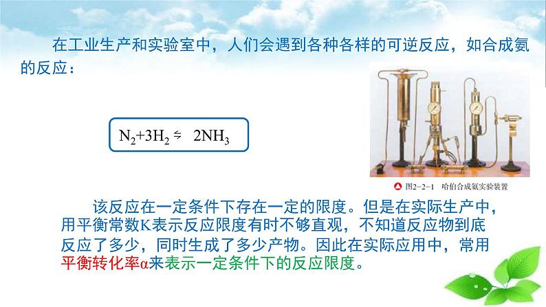 鲁科版选择性必修一 2.2化学反应的限度(第2课时 平衡转化率) 课件03