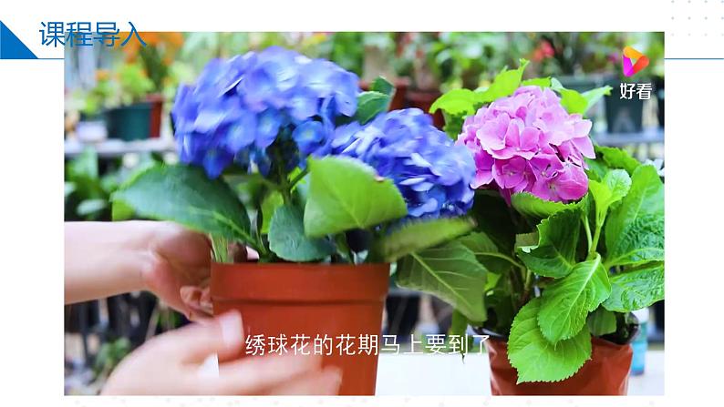 3.3.2酸碱中和与盐类水解(盐类水解) 同步课件 第3页