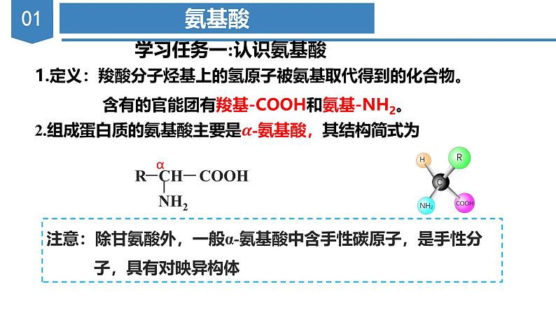 沪科版2019高二化学选择性必修三 4.1.3氨基酸与蛋白质核酸 课件05