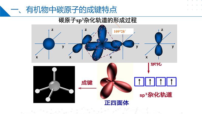 苏教版2019高二化学选择性必修三2.1.1有机物中碳原子的成键特点、有机物结构的表示方法(同步课件)05
