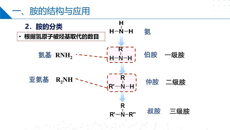 苏教版2019高二化学选择性必修三 5.2胺和酰胺(同步课件)07