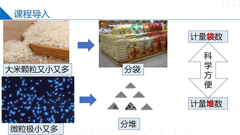 苏教版2019高一化学必修第一册1.2.1物质的量(同步课件)03
