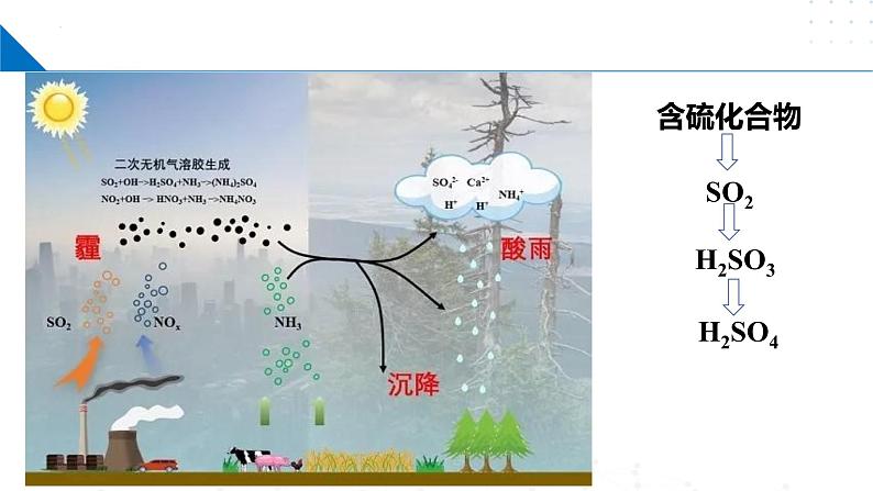 苏教版2019高一化学必修第一册 4.2 硫及其化合物之间的相互转化(同步课件)04