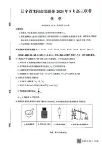 2025届辽宁沈阳郊联体高三9月联考化学试题+答案