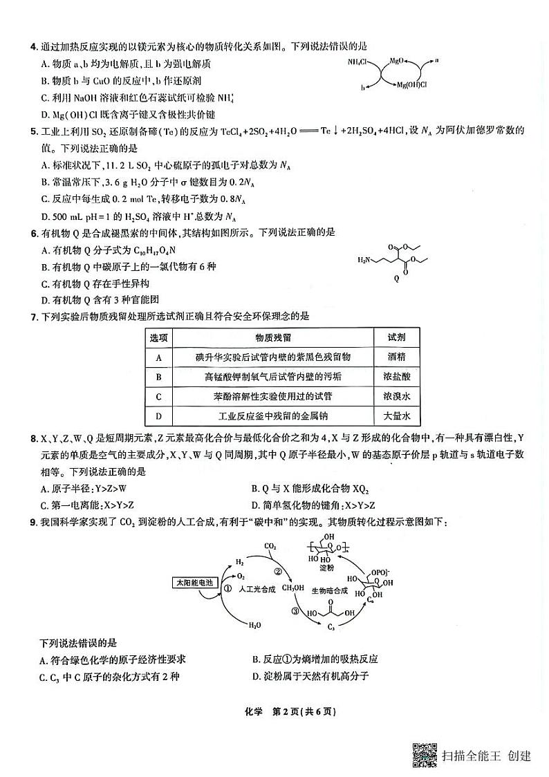 2025届辽宁沈阳郊联体高三9月联考化学试题+答案第2页