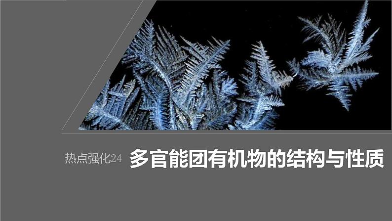 新高考化学一轮复习课件第10章 热点强化24 多官能团有机物的结构与性质(含解析)01