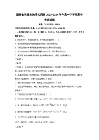 [化学][期中]湖南省常德市沅澧共同体2023-2024学年高一下学期期中考试试题(解析版)