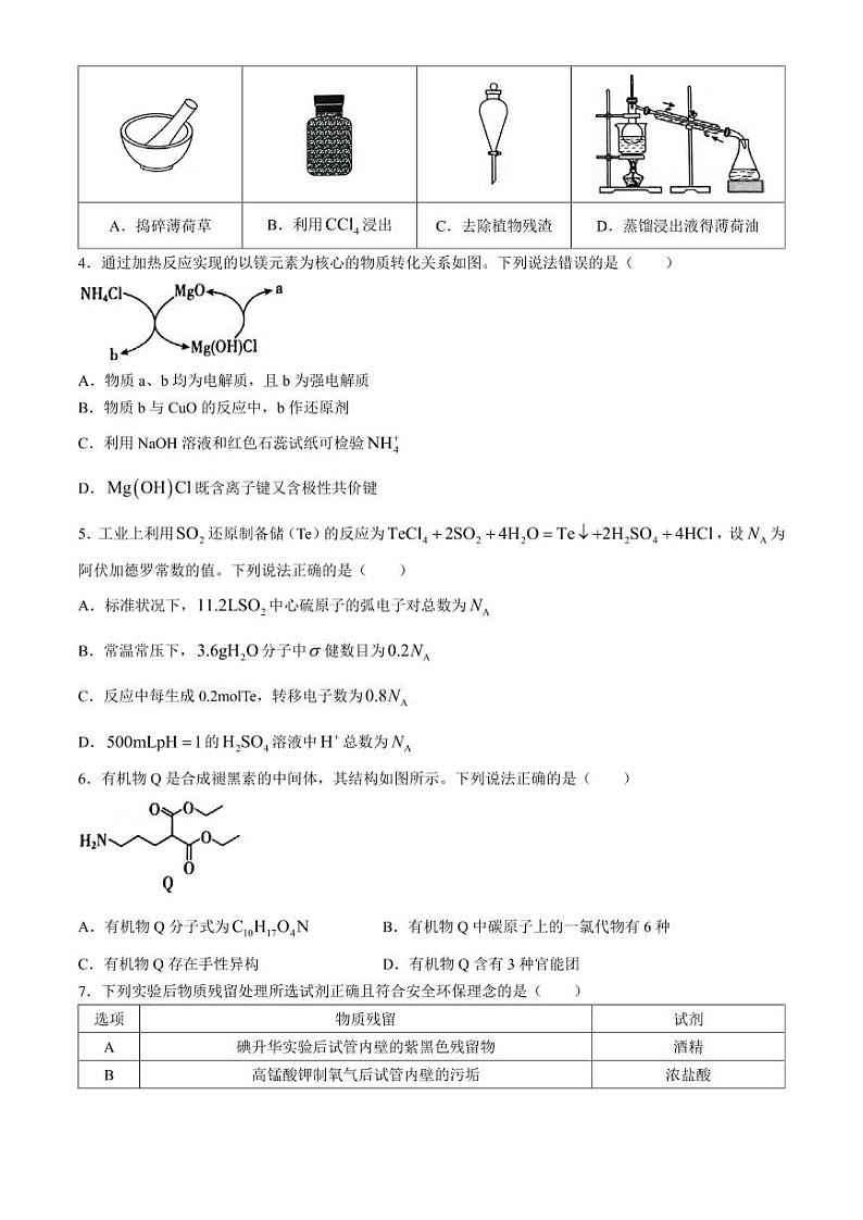 2025届东北三省高三上学期9月联考化学试卷+答案第2页