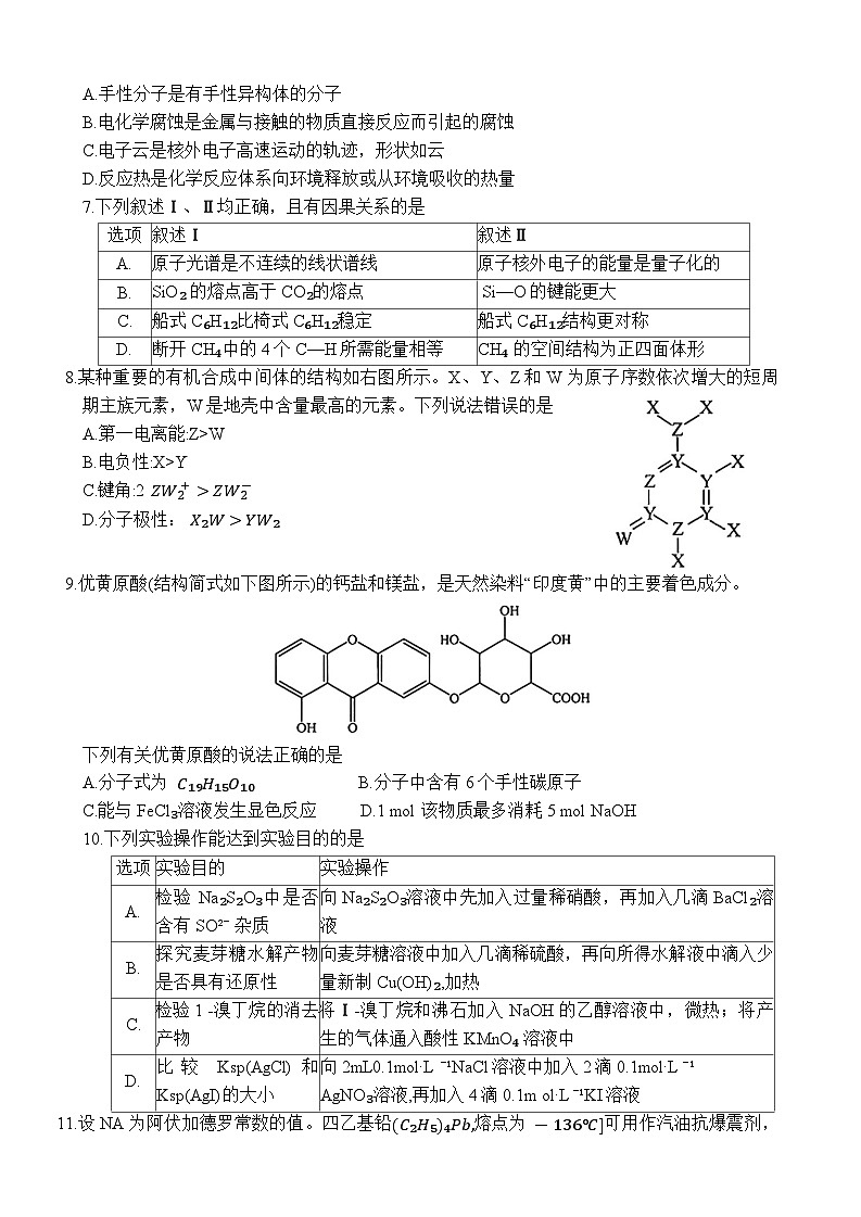 湖北省武汉市2025届高三上学期9月第一次调研考试+化学试题第2页