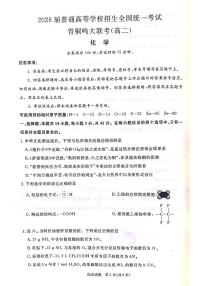河南省青桐鸣大联考2024-2025学年高二上学期开学考试化学试题（PDF版附解析）