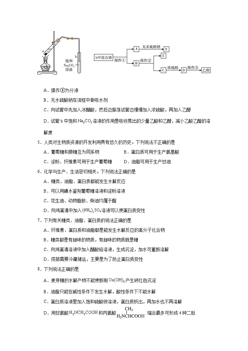 人教版2019必修第二册化学专题05乙醇与乙酸基本营养物质含解析答案第2页