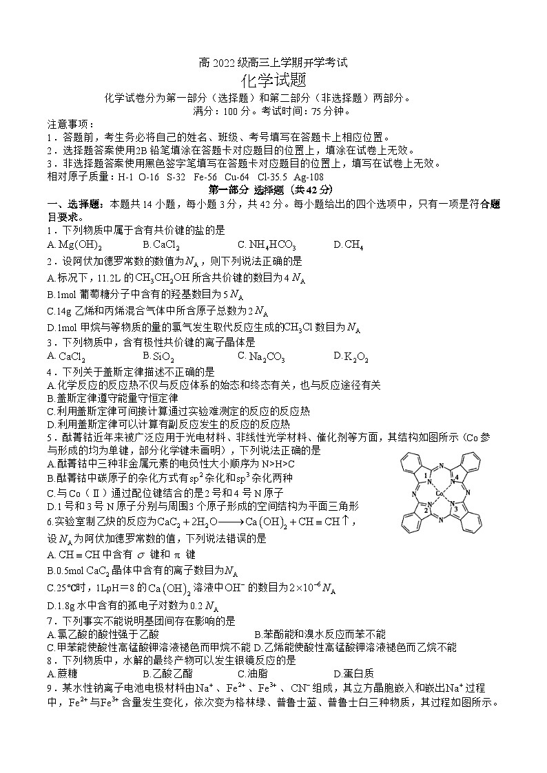 四川省泸州市叙永县第一中学2024-2025学年高三上学期开学考试化学试卷(Word版附答案)01