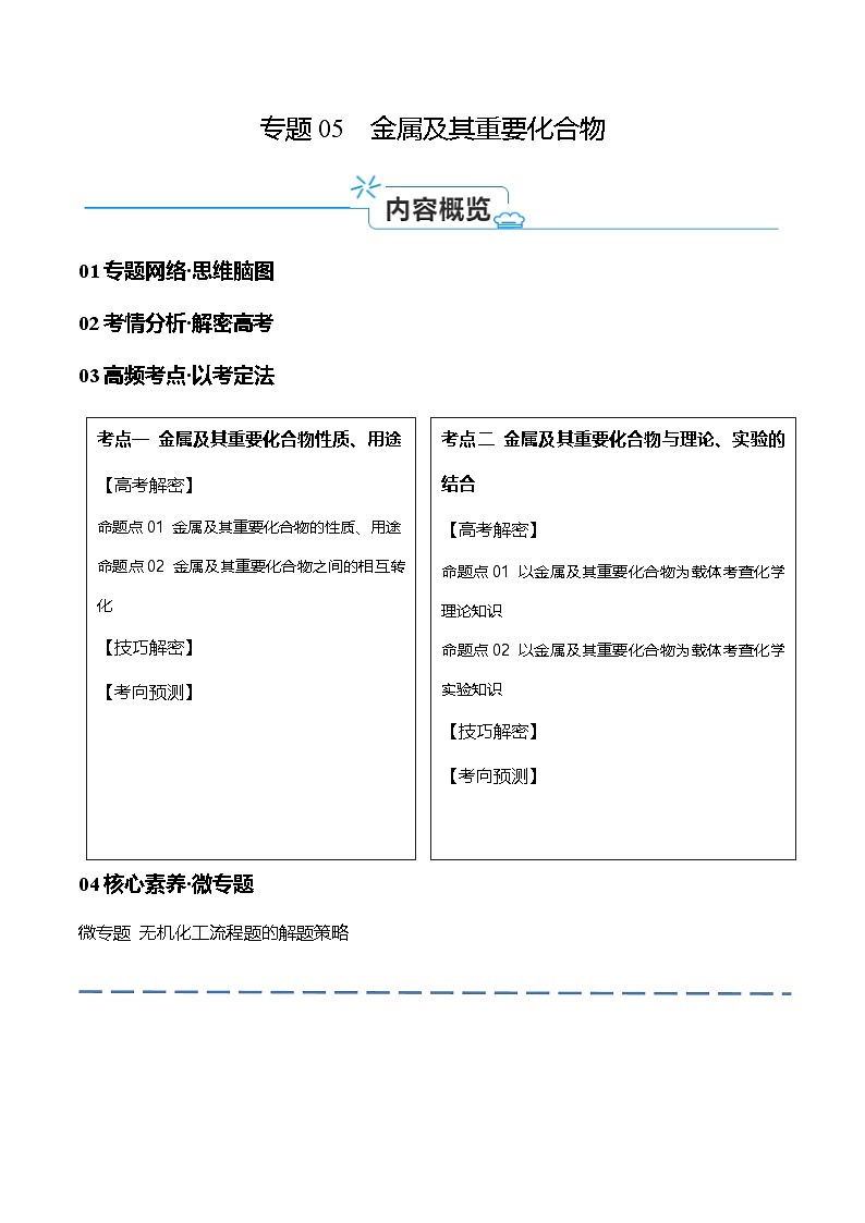 新高考化学二轮复习高频考点追踪练习专题05 金属及其重要化合物(讲义)(解析版)第1页