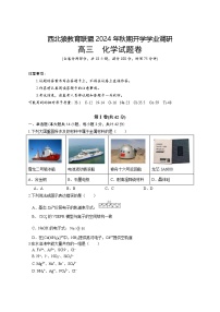 重庆市西北狼教育联盟2024-2025学年高三上学期开学考试+化学试题