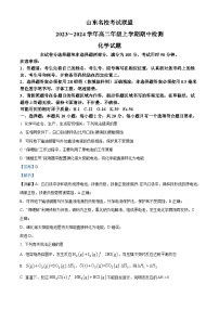 山东省名校考试联盟2023-2024学年高二上学期11月期中联考化学试题（Word版附解析）