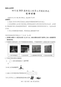 四川省2024-2025学年高三上学期入学摸底考试化学试题（PDF版附解析）